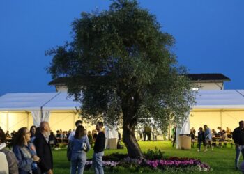 A Manzano riecco «Olio e dintorni»