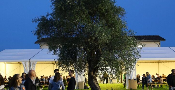 A Manzano riecco «Olio e dintorni»