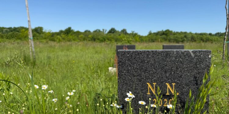 I morti senza nome lungo la rotta balcanica. Sulla Vita Cattolica reportage nei cimiteri lungo il fiume Drina in Bosnia