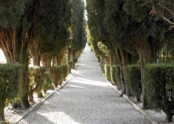 Mereto di Tomba. Si restaura Viale della Rimembranza che ricorda i caduti della Prima guerra