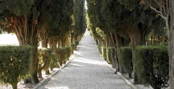 Mereto di Tomba. Si restaura Viale della Rimembranza che ricorda i caduti della Prima guerra