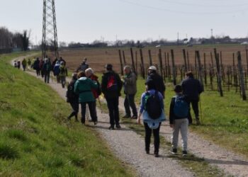 “Passi francescani” da Venzone a Gemona