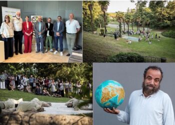 A Buttrio la 6ª edizione del TreeArt Festival intreccia “Connessioni”