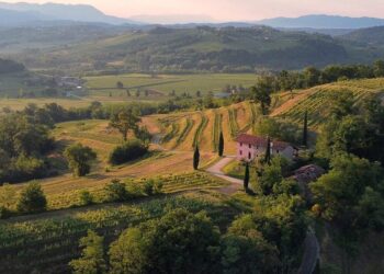 “Un giro in vigna” con il Fai a Corno di Rosazzo