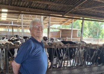 Reportage in Sardegna. Ad Arborea un pezzo di cuore è friulano. Grazie ai coloni giunti nelle terre paludose