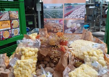 Le “nuove” patate contro i cambiamenti climatici