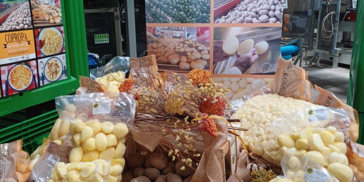 Le “nuove” patate contro i cambiamenti climatici