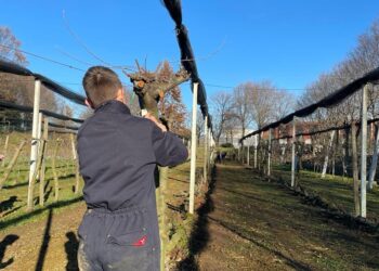 Pozzuolo. La Fondazione Sabbatini promuove sei borse di studio per universitari e giovani delle superiori
