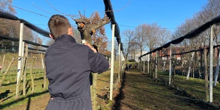 Pozzuolo. La Fondazione Sabbatini promuove sei borse di studio per universitari e giovani delle superiori