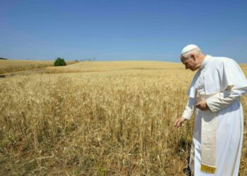 “Semi di pace e di speranza”. Un mese per riscoprire la cura del Creato