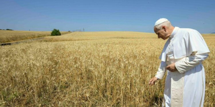“Semi di pace e di speranza”. Un mese per riscoprire la cura del Creato