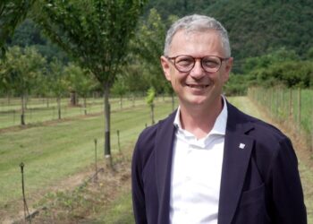 Castagne, «una risorsa per le Valli»