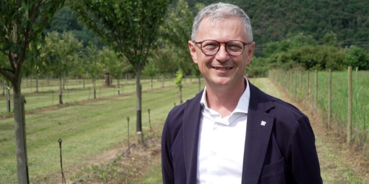 Castagne, «una risorsa per le Valli»