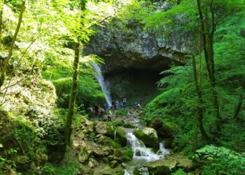 In Benecia 4 nuovi sentieri per la “terapia forestale”