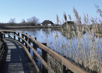 Marano Lagunare. 10mila passi nella bellezza di laguna, canali e riserva