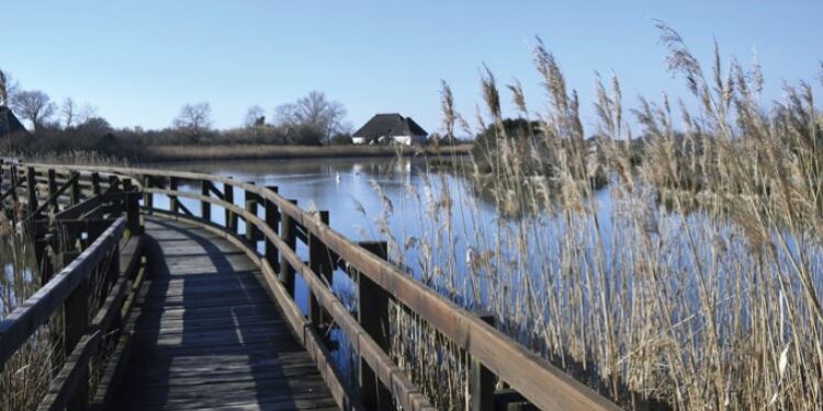 Marano Lagunare. 10mila passi nella bellezza di laguna, canali e riserva