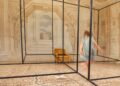 Codroipo. a Villa Manin, arte contemporanea e quadri che parlano