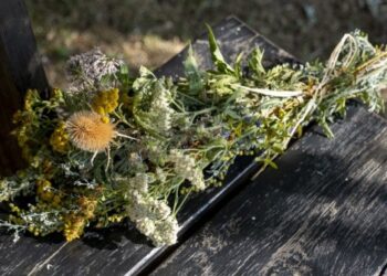 Savogna in festa per San Lorenzo e l’Assunta