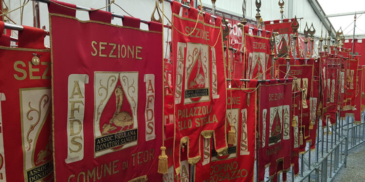 Donatori di sangue, congresso provinciale AFDS a Gonars: saranno premiati 2.267 donatori