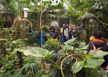 La «Casa delle Farfalle» cresce e fa progetti con il territorio