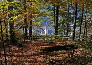 Autunno a Tarvisio, tutti i sentieri del foliage