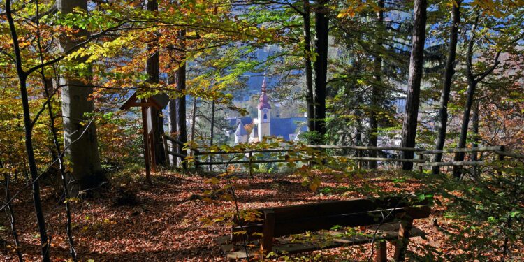 Autunno a Tarvisio, tutti i sentieri del foliage