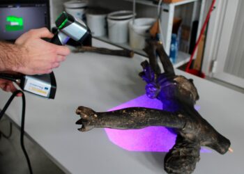 Il Crocifisso di Forni Avoltri restaurato in stampa 3D