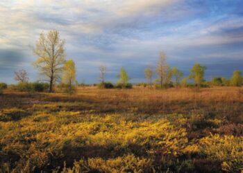 “Magredi. La steppa friulana”. Documentario e dibattito a Udine