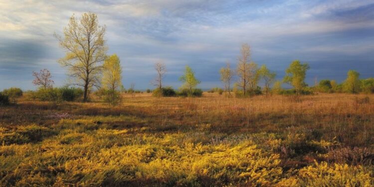 “Magredi. La steppa friulana”. Documentario e dibattito a Udine