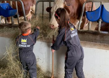 Carnia in autunno. Passeggiate e visite guidate a borghi antichi