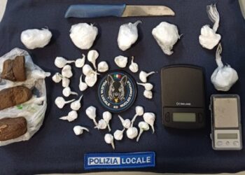 Droga nascosta nelle aree verdi del centro studi