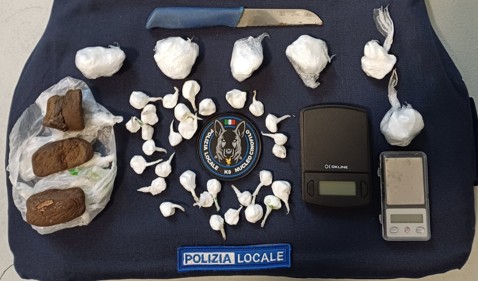 Droga nascosta nelle aree verdi del centro studi