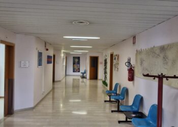 Codroipo e San Daniele. Salute mentale, inclusione lavorativa premiata