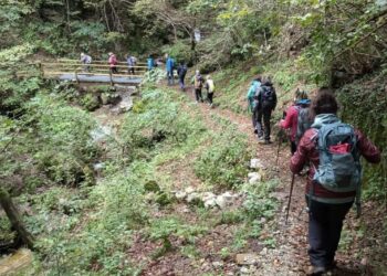 In cammino sui passi di Martino, un santo attuale