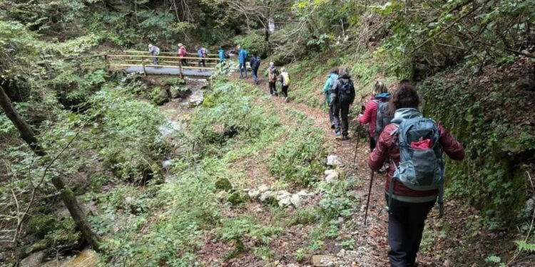 In cammino sui passi di Martino, un santo attuale