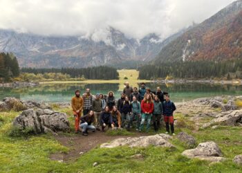 Giovani da tutta Italia in Friuli per studiare la filiera forestale