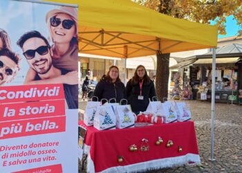 Nelle piazze friulane tornano i panettoni solidali Admo