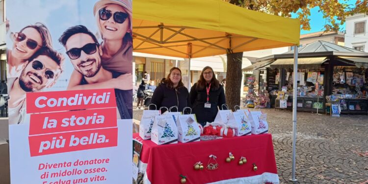 Nelle piazze friulane tornano i panettoni solidali Admo