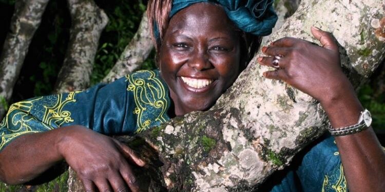 A Lignano si allarga la “Foresta dei Giusti”