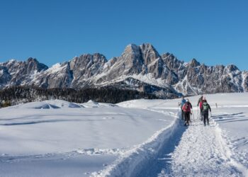 Con Visit Zoncolan si può vivere la montagna anche ad andamento lento