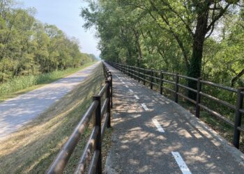 Lungo la Statale 14 la ciclovia FVG2/e. Al via la progettazione