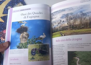 Stele di Nadâl in edicola, tra grandi classici e parecchie novità