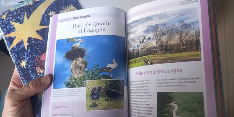 Stele di Nadâl in edicola, tra grandi classici e parecchie novità