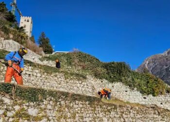 Accordi coi Comuni per la manutenzione di beni Operai forestali. Al lavoro a Gemona, Osoppo, Forgaria e Buja
