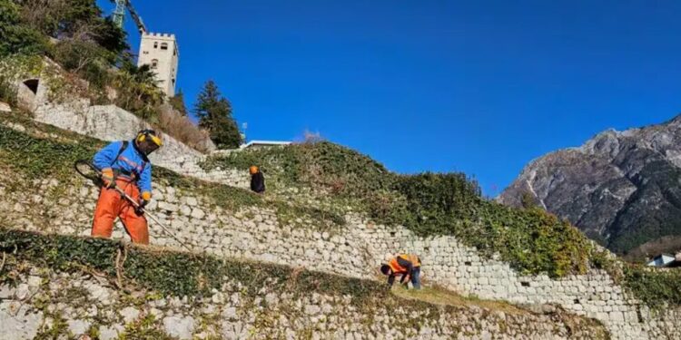 Accordi coi Comuni per la manutenzione di beni Operai forestali. Al lavoro a Gemona, Osoppo, Forgaria e Buja