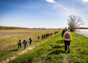 Aquileia. Fondazione fino al 2051 e tra gli attesi eventi il “Festival dei Cammini”