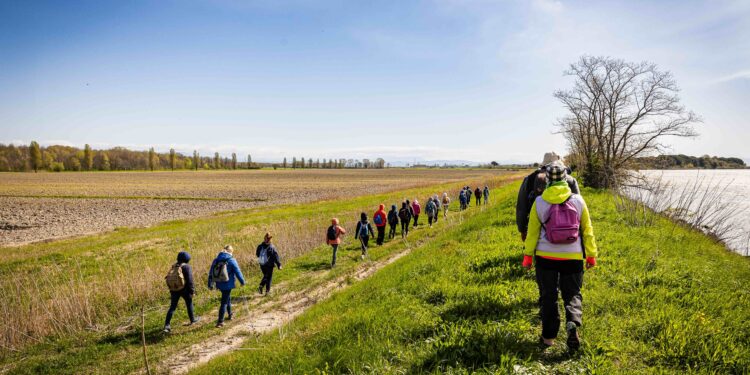 Aquileia. Fondazione fino al 2051 e tra gli attesi eventi il “Festival dei Cammini”