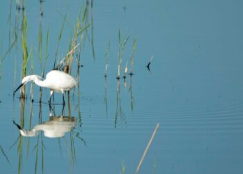 Val Grande a piedi, in e-bike e in canoa. Le proposte di marzo