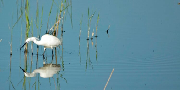 Val Grande a piedi, in e-bike e in canoa. Le proposte di marzo