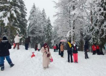 La gioia dei bambini di Gaza. A Tarvisio la loro prima neve